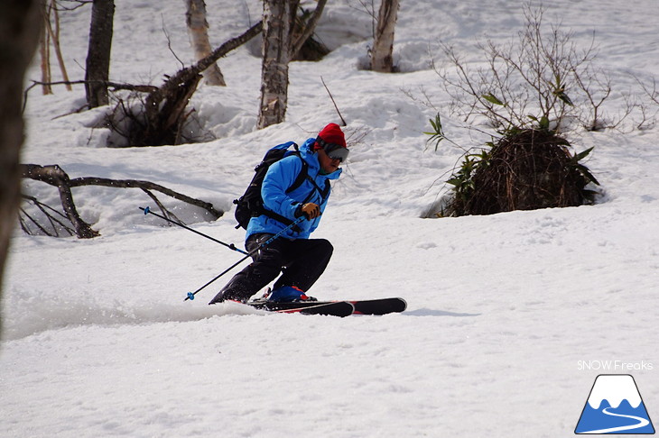 DYNASTAR SKI series Test Ride Days 2017 in ニセコユナイテッド【Day.1】～ニセコグラン・ヒラフ～